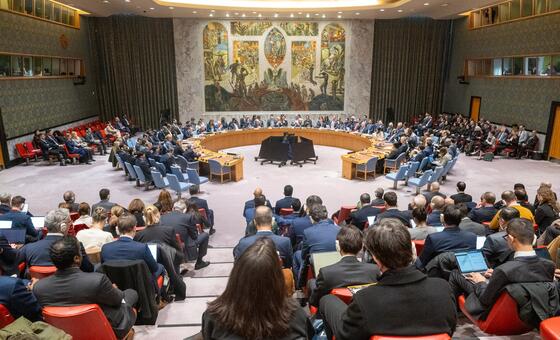 Заседание Совета Безопасности по вопросу о положении на Ближнем Востоке. Фото из архива